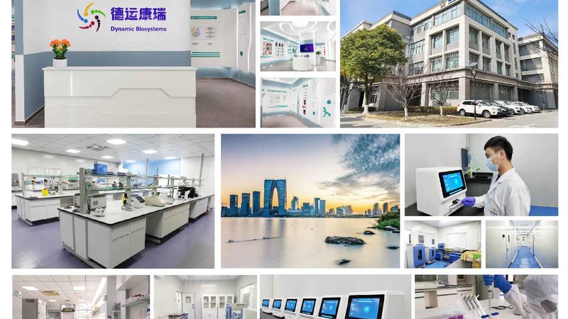 核酸药物CDMO代工费用：揭秘其构成与影响因素