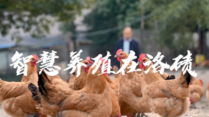 CDMO厂家排名背后的合作流程解析
