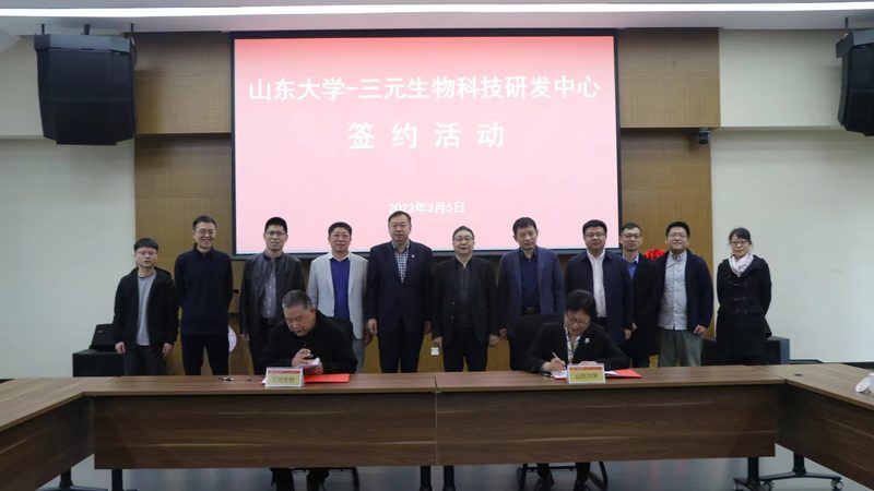 CDMO项目合作：揭秘医药研发背后的高效协同