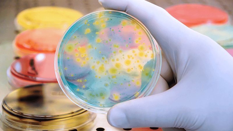 揭秘上海生物抗体生产厂家：如何选择与报价**