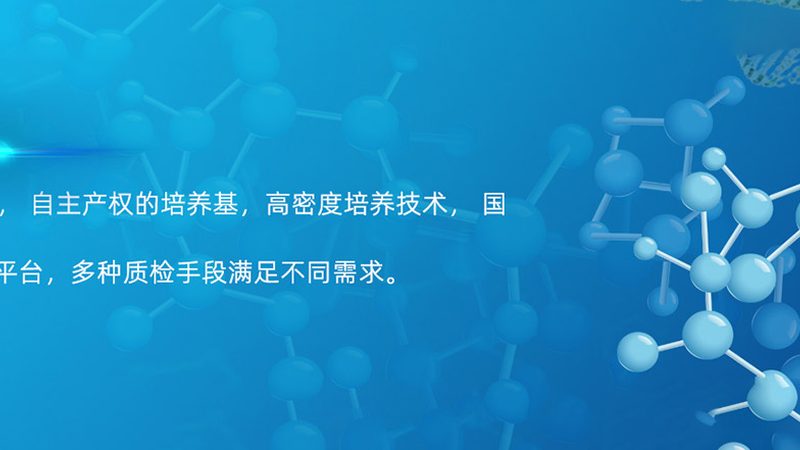 生物医药外包人员绩效考核：关键指标与实施策略**
