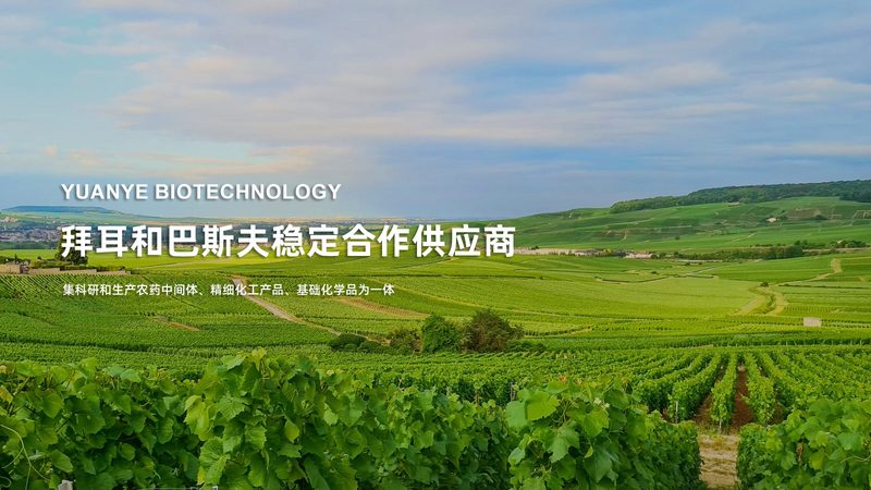 聚丰生物有限公司