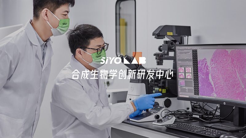 荧光定量PCR试剂：精准检测的得力助手**