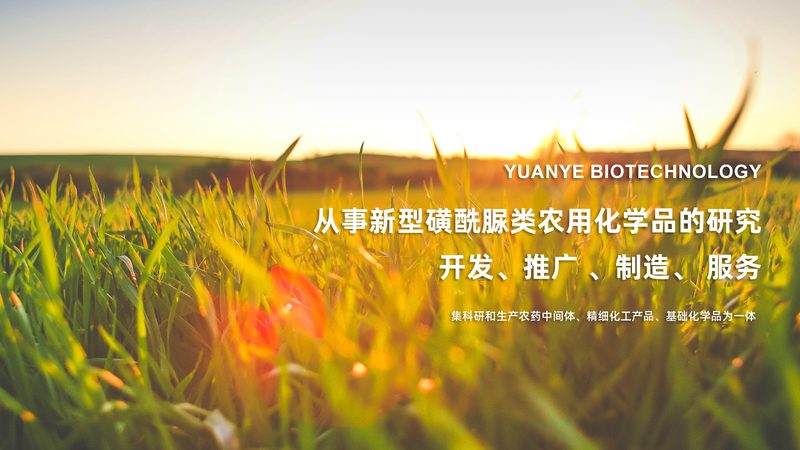 化学发光诊断试剂，如何甄别靠谱厂家？**