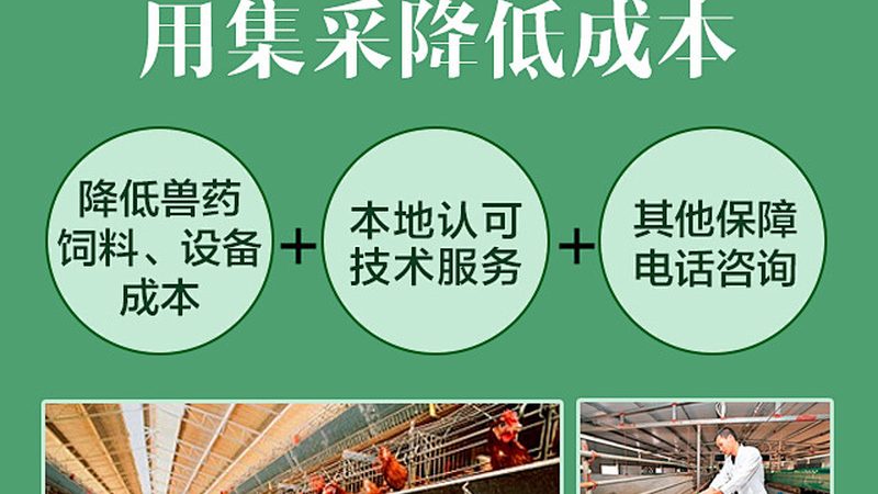 小分子CDMO批量化生产：揭秘制药企业的“幕后英雄”**