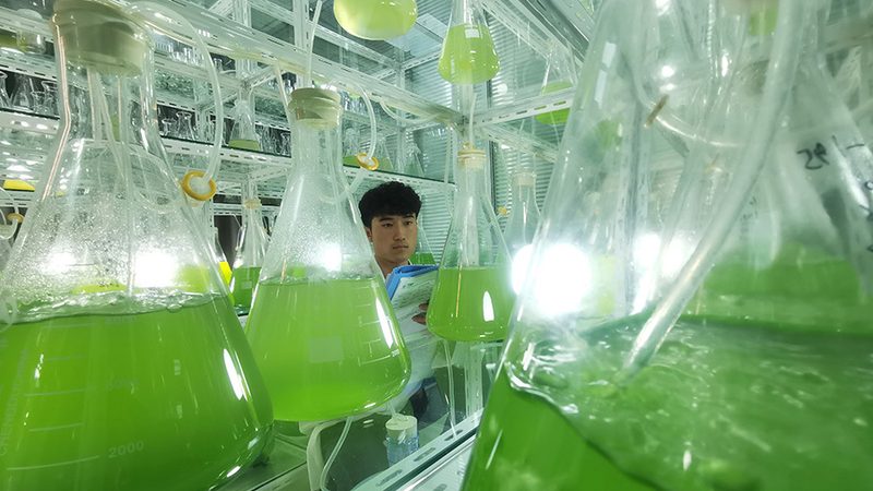 基因检测与体检：探寻精准医疗的深度与广度